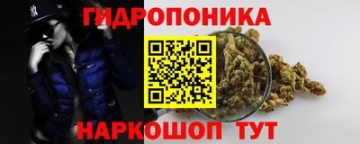 амф Дубна