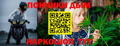 амф Дубна